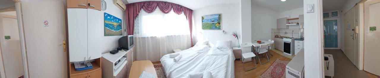 Apartment Daca Stan Belgrado Buitenkant foto