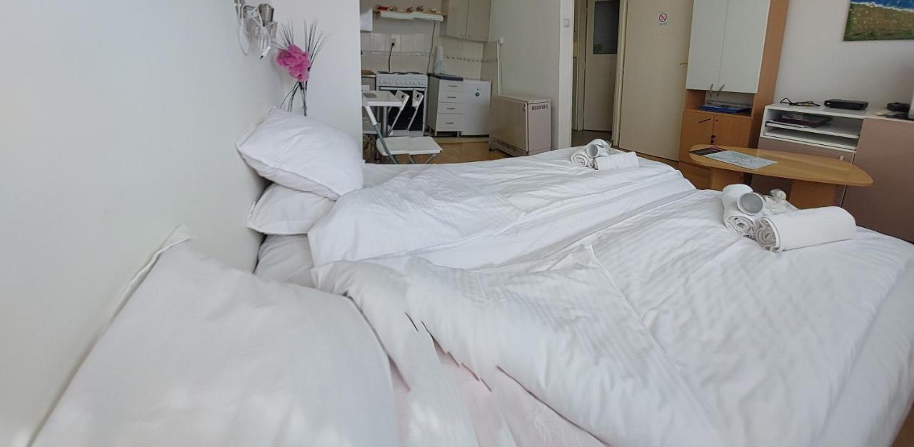 Apartment Daca Stan Belgrado Buitenkant foto