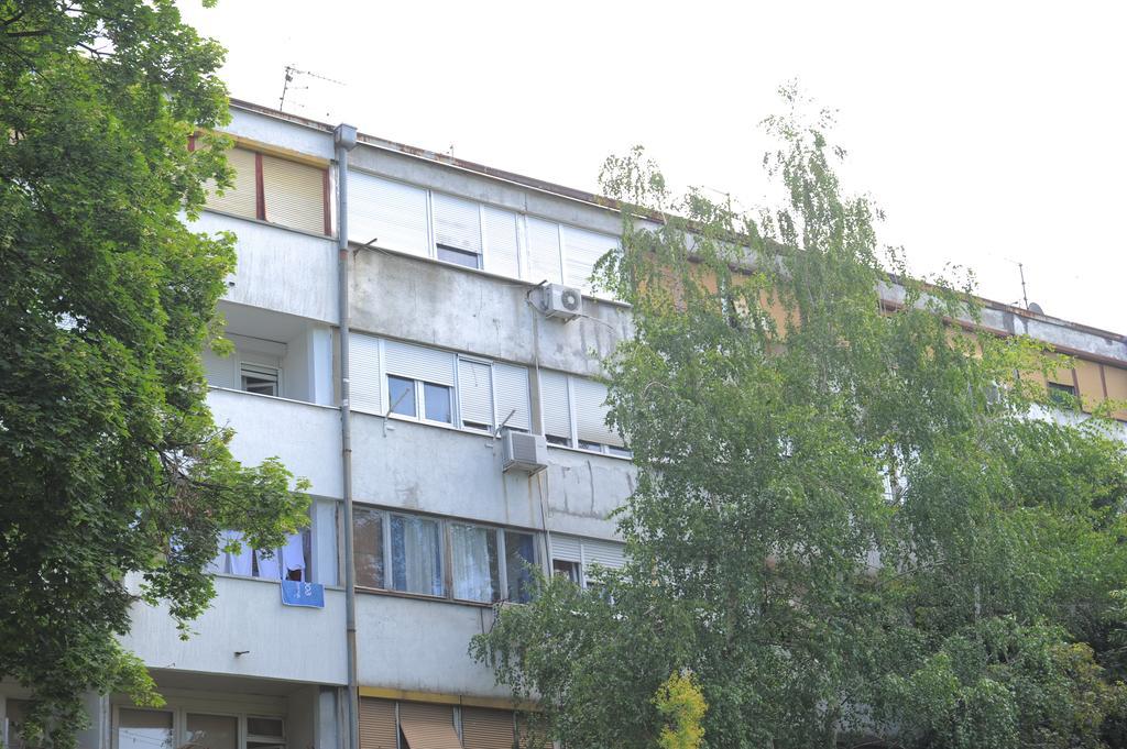 Apartment Daca Stan Belgrado Buitenkant foto