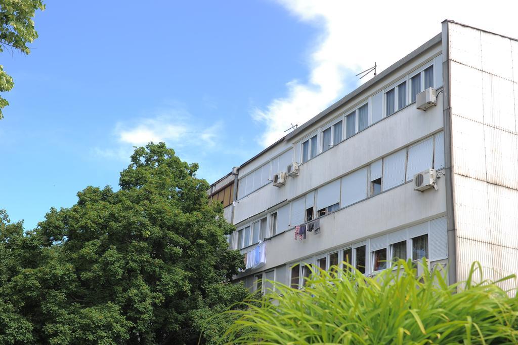 Apartment Daca Stan Belgrado Buitenkant foto