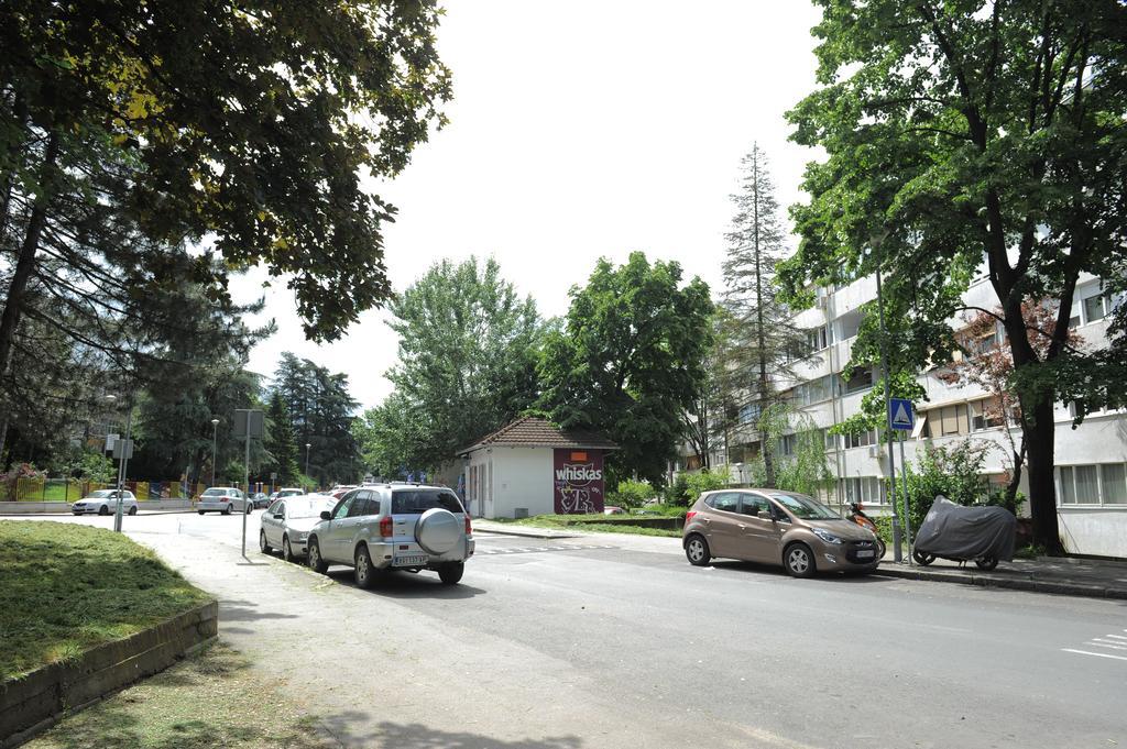 Apartment Daca Stan Belgrado Buitenkant foto