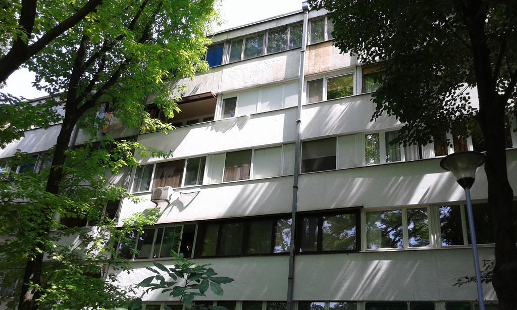 Apartment Daca Stan Belgrado Buitenkant foto