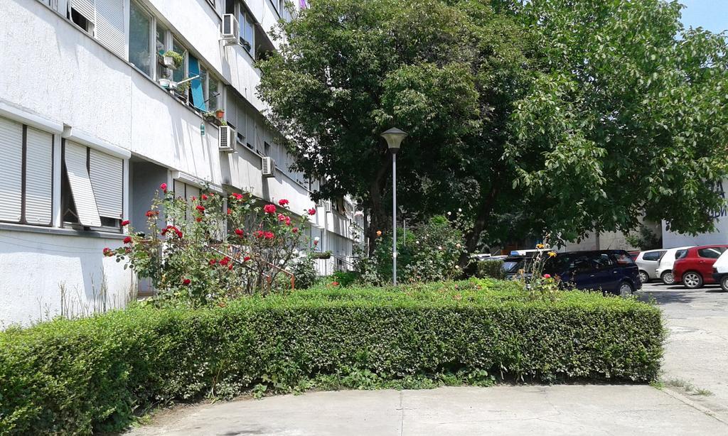 Apartment Daca Stan Belgrado Buitenkant foto