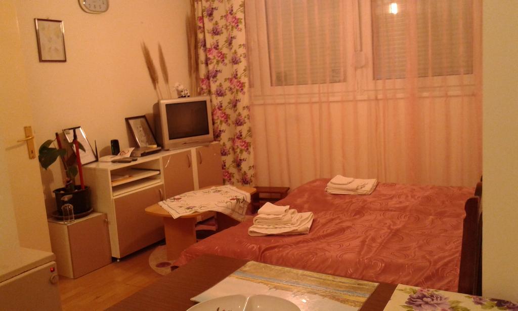 Apartment Daca Stan Belgrado Buitenkant foto